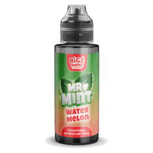 Mr. Mint by Big Bottle - Longfills 10 ml - Watermelon