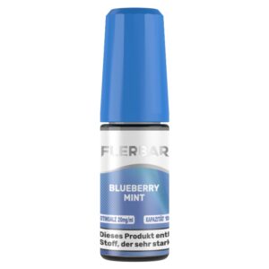Flerbar Liquid - Nikotinsalz Liquid - Blueberry Mint